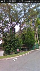 Swiss Club Park (D11), Detached #520127501